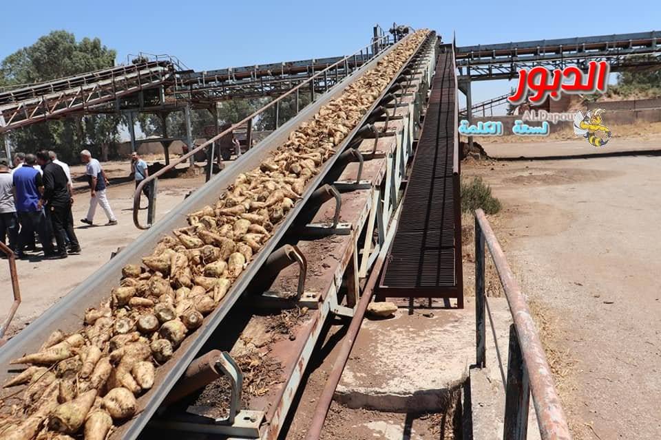 معمل سكر الرقة… مشروعٌ متوقف وأسئلة بلا إجابة.....