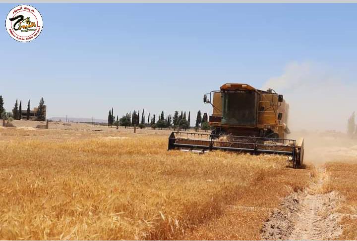 افتتاح 4 مراكز لاستلام محصول القمح في ريف دمشق