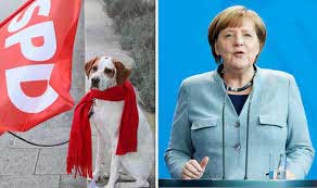 صحيفة ألمانية تستخرج بطاقة عضوية لـ"كلبة" في حزب سياسي