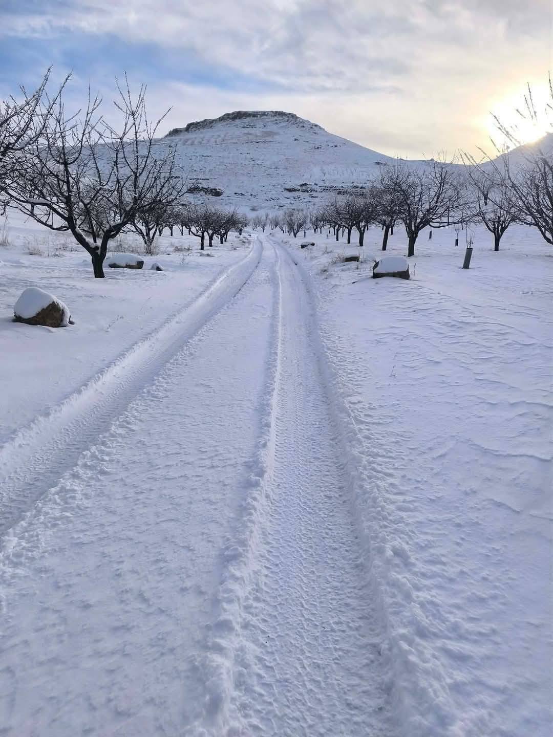 ثلوج سوريا اليوم