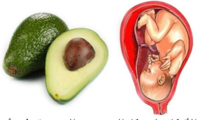 ماهو سر الشبه بين أعضاء الجسم وبعض الفواكه والخضروات؟