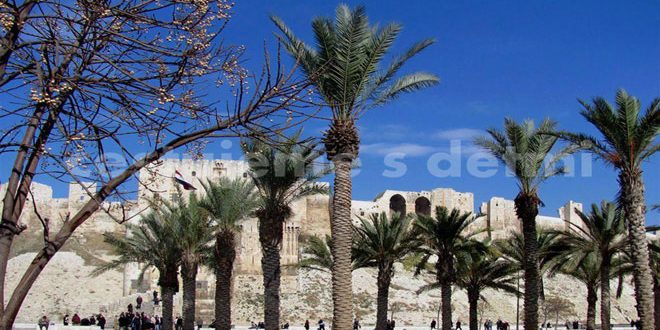 موقع تشيكي: حلب قلب لقارات آسيا وأفريقيا وأوروبا
