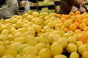  سوريا تتعاقد على تصدير آلاف الأطنان من الحمضيات وعودة مرتقبة إلى أسواق العراق