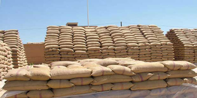 308 ملايين ليرة مبيعات فرع أعلاف الحسكة خلال الدورة العلفية الحالية
